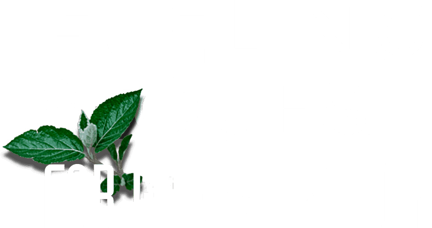 Fueling the Quest for Green Energy