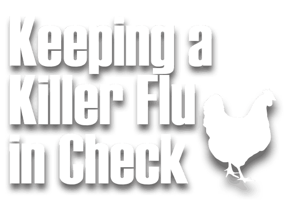 Keeping a Killer Flu in Check