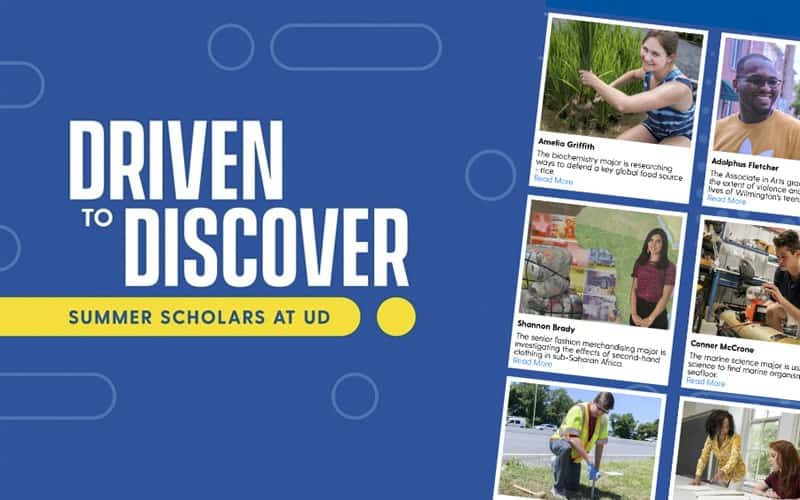 Driven to Discover UD Summer Scholars Program