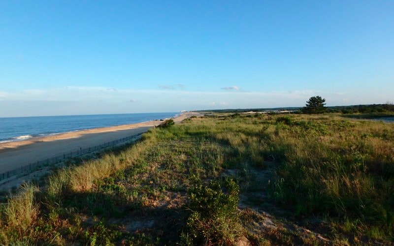 Photo of Lewes Delaware by Doug White, Kathy F. Atkinson and Evan Krape