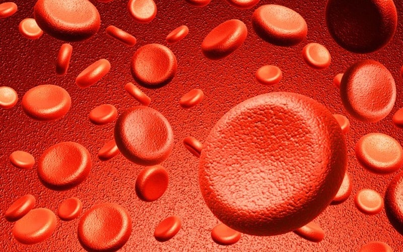 Gene therapy for blood disorders