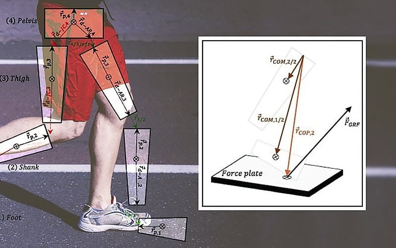 UD engineers are working to improve understanding of human movement.