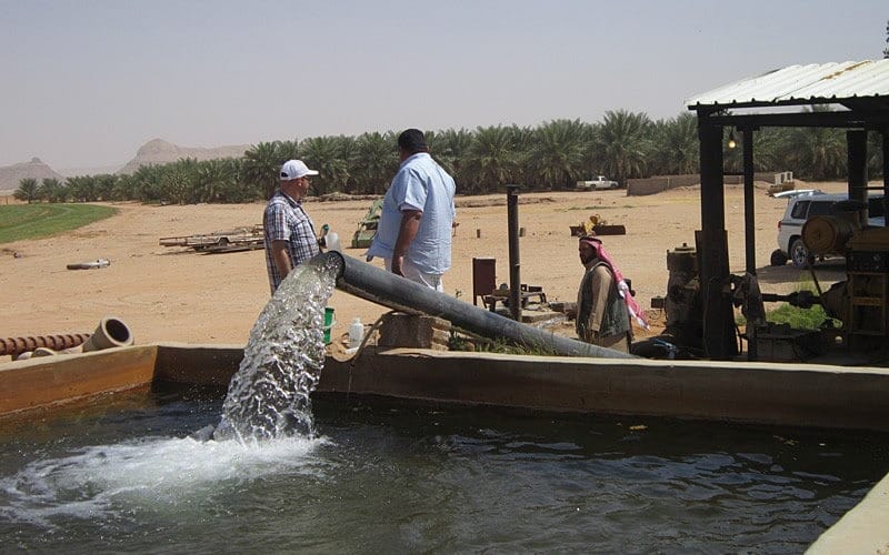 UD Researchers in the Arabian Peninsula