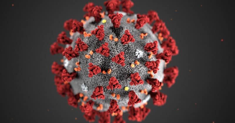 COVID-19 Virus