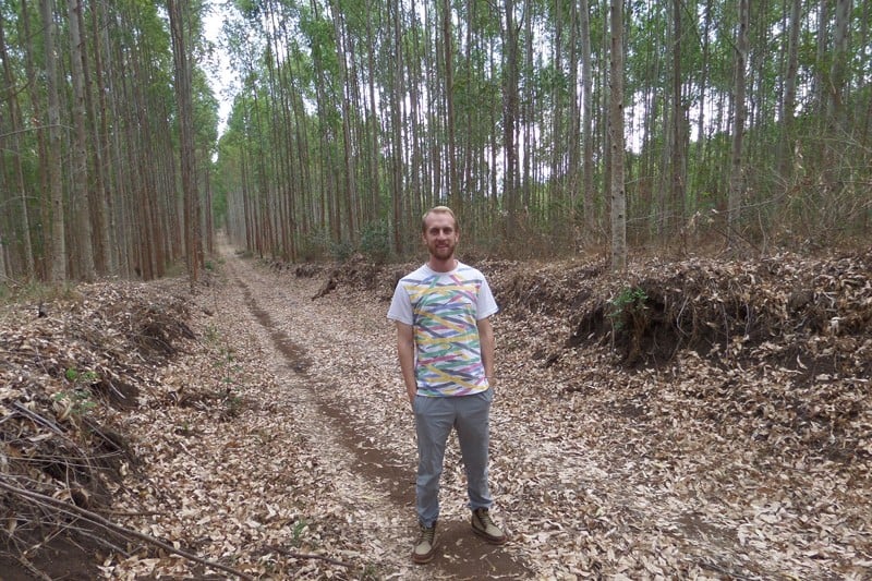 UD Assistant Professor Kyle Davis has published a new study that looks at which types of large-scale land investments may be associated with increases in tropical deforestation. Davis is pictured here doing fieldwork in central Mozambique when members of the research group were visiting forest concessions and large-scale agricultural investments. This particular photo is from inside a Eucalyptus plantation.