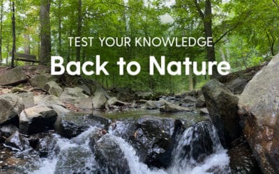 Test Your Knowledge: Getting Back to Nature