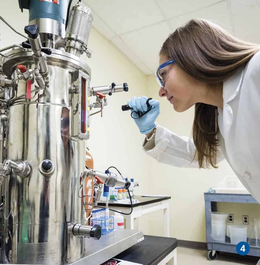 Jennifer Mantle, NIIMBL’s regulatory committee coordinator, at work in the laboratory at UD