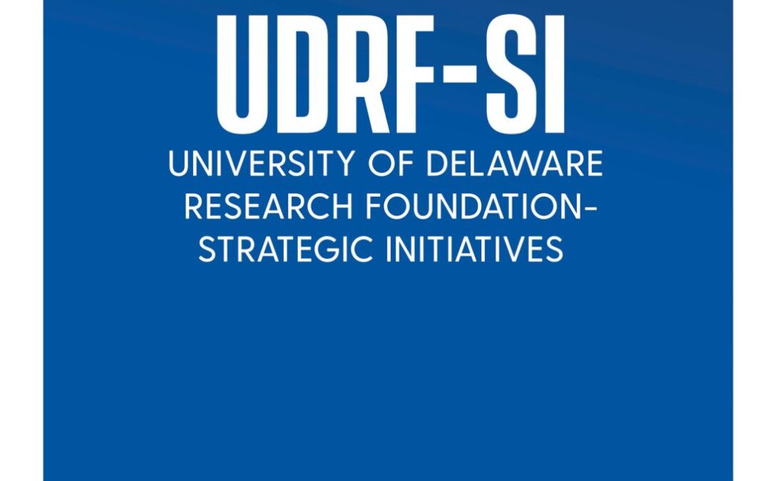 UDRF_SI Guidelines 2021-2022